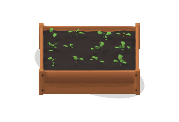 Garden Bed