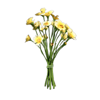 Meadowbloom
