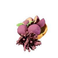 Plum Tart