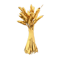 Sea Oats