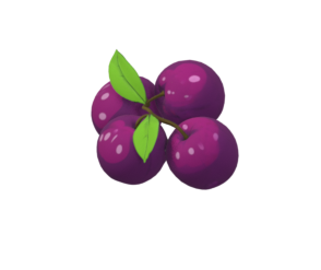 Beach plums (forage)