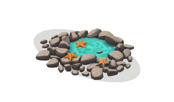 Tide pool